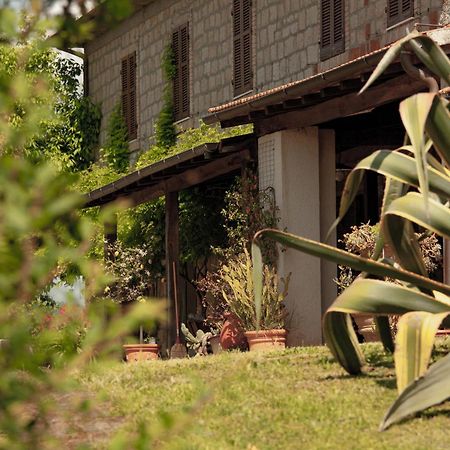 Agriturismo Bio Aia Della Colonna Сатурния Екстериор снимка