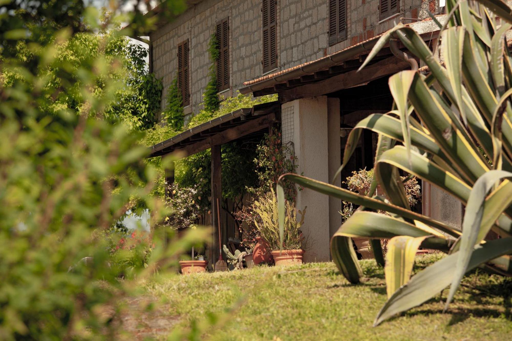 Agriturismo Bio Aia Della Colonna Сатурния Екстериор снимка